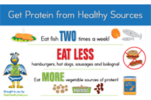 Picture of 3 Message Poster- Protein